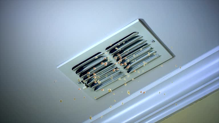 Best Affordable Duct Cleaning Services  in Duncanville, TX