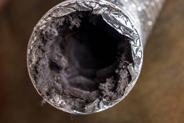 Best Air Duct Cleaning Near Me  in Duncanville, TX